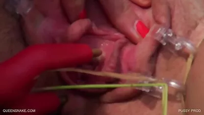 Âm sản - queensnake.Com - queensect.Com  sex thu hay