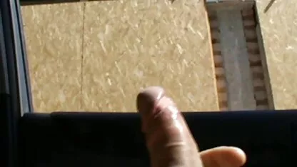 Flash phim vol.Hai sex viet nam co thuyet minh