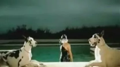 Lady gaga vấn. viet nam sex girl